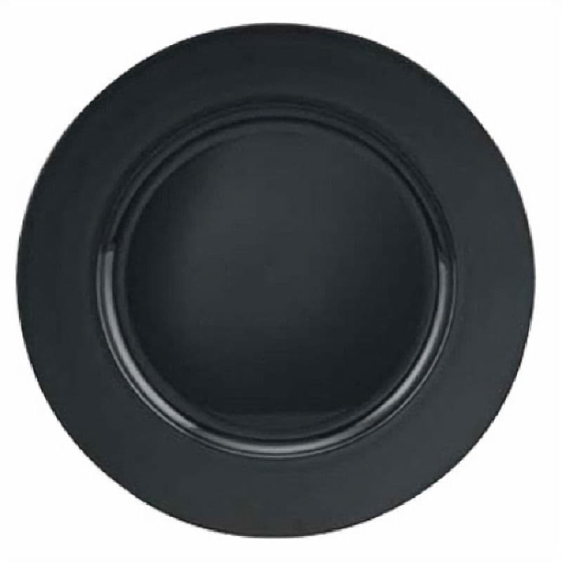 Plastic Charger rental alternate