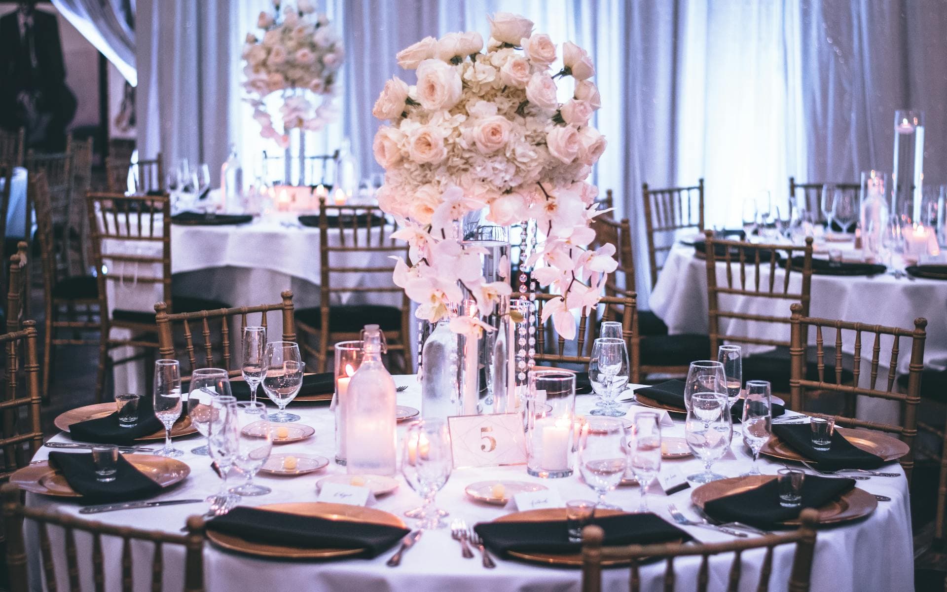 Timeless Event Rentals Luxury wedding & event Furniture rental in San Diego